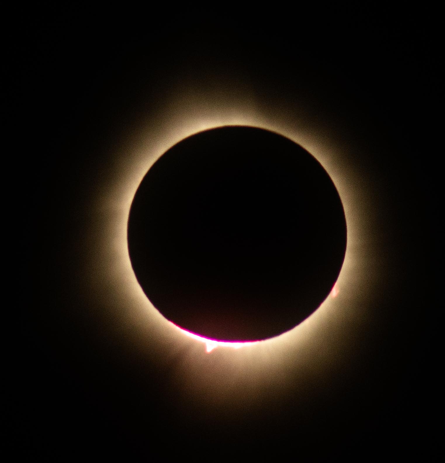 Corona & prominences